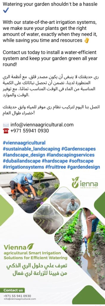 IMG_٢٠٢٥٠٧١١_١٠٣٦٢٦